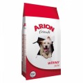 Arion Friends Winner