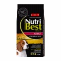 Picart Nutribest Adult Chicken & Rice