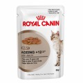 Royal Canin Feline Ageing +12 Húmedo