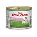 Royal Canin Starter Mousse