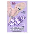 Pretty Species - Amazon Cockatoo