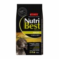 Picart Nutribest Cat Fish & Rice