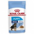 Royal Canin Maxi Puppy (Sobre)